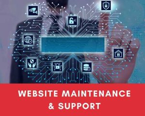 Why Businesses Need Digital Marketing in Pondicherry